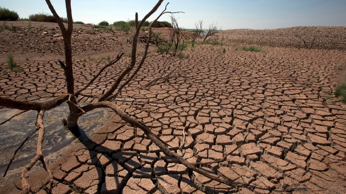 The East Africa drought is the worst one in that area in 60 years.